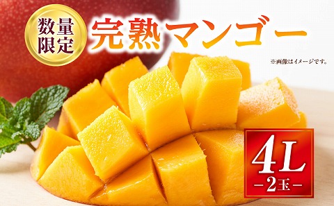《2026年発送先行予約》【数量・期間限定】完熟マンゴー 4Lサイズ 2玉_M354-002-04