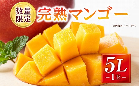 《2026年発送先行予約》【数量・期間限定】完熟マンゴー 5Lサイズ 1玉_M354-002-05