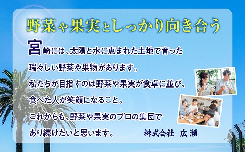 《2025年発送先行予約》【期間・数量限定】【定期便】宮崎市特産くだもの7ヶ月コース_M354-T001