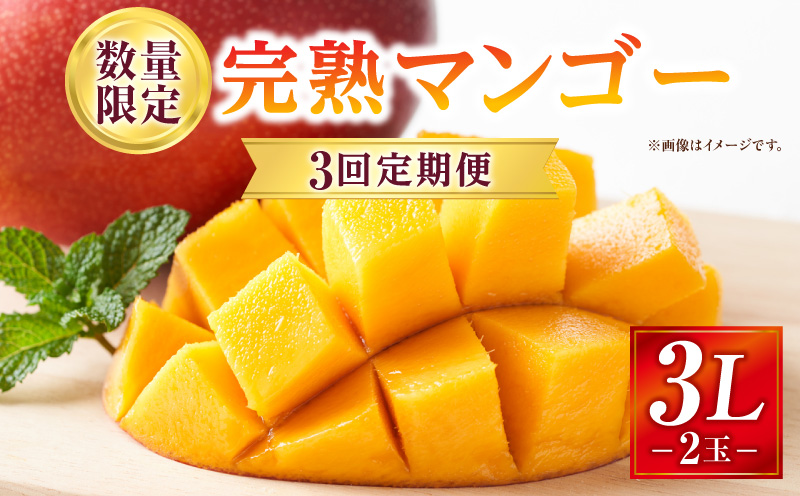 《2026年発送先行予約》【数量・期間限定】3回定期便 3L2玉完熟マンゴーコース_M354-T004