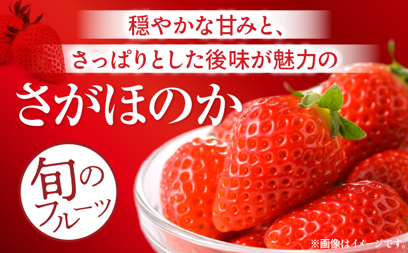 《2026年発送》【数量・期間限定】宮崎県産さがほのか 約1kg いちご 苺 フルーツ_M267-002-02