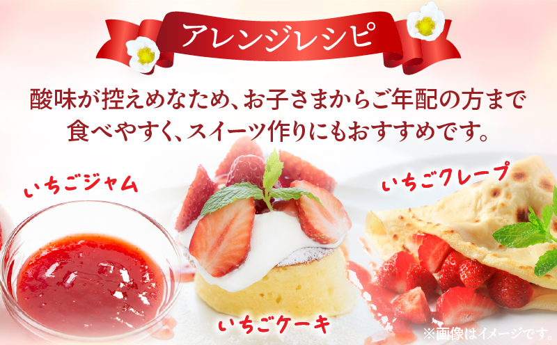 《2026年発送》【数量・期間限定】宮崎県産さがほのか 約1kg いちご 苺 フルーツ_M267-002-02