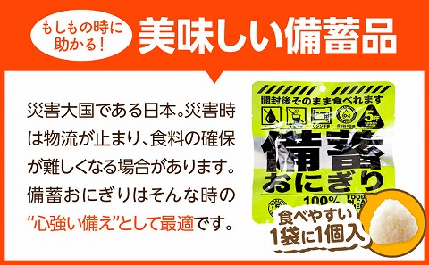 備蓄おにぎりしょうゆ味10個入り_M291-001-01