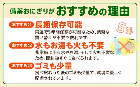 備蓄おにぎりしょうゆ味10個入り_M291-001-01