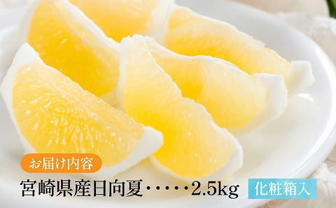 【期間・数量限定】宮崎県産日向夏2.5kg　化粧箱入り_M359-005