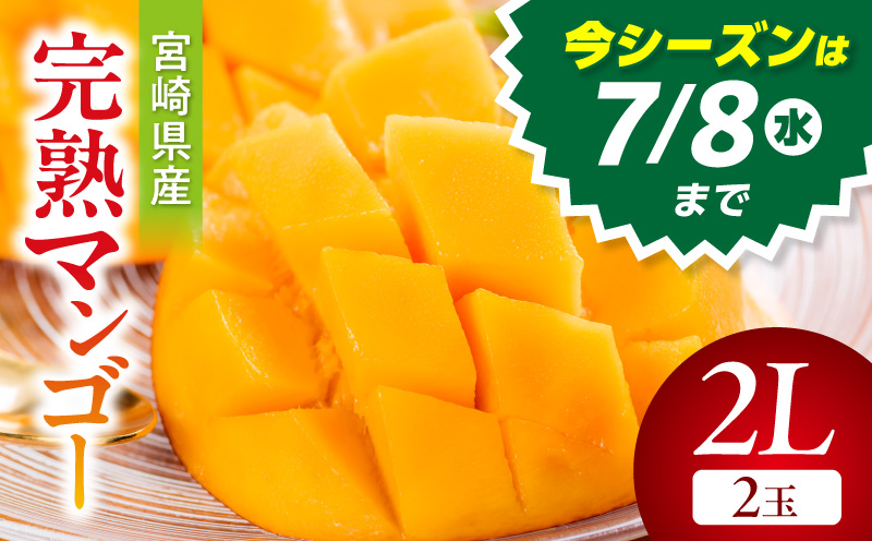 《2026年発送》【数量・期間限定】宮崎県産完熟マンゴー2L(2玉) マンゴー 完熟 芳醇 冷蔵 フルーツ 果物 数量限定 期間限定 宮崎県産_M359-002-02
