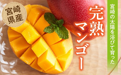 ã2026幎çºéå
è¡äºçŽããæ°éã»æééå®ãå®®åŽçç£å®çãã³ãŽãŒ3L(2ç) ãã³ãŽãŒ å®ç è³é å·èµ ãã«ãŒã æç© æ°ééå® æééå® å®®åŽçç£_M359-003-02