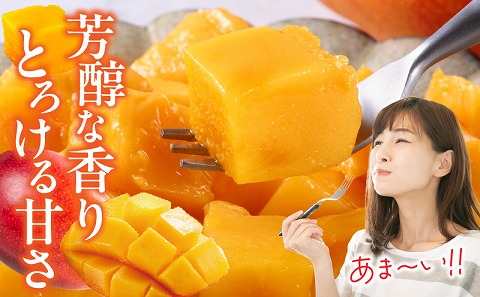 ã2026幎çºéå
è¡äºçŽããæ°éã»æééå®ãå®®åŽçç£å®çãã³ãŽãŒ3L(2ç) ãã³ãŽãŒ å®ç è³é å·èµ ãã«ãŒã æç© æ°ééå® æééå® å®®åŽçç£_M359-003-02