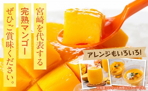 ã2026幎çºéå
è¡äºçŽããæ°éã»æééå®ãå®®åŽçç£å®çãã³ãŽãŒ3L(2ç) ãã³ãŽãŒ å®ç è³é å·èµ ãã«ãŒã æç© æ°ééå® æééå® å®®åŽçç£_M359-003-02