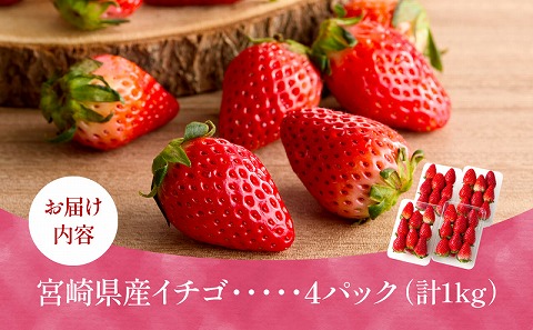 《2026年発送》【数量・期間限定】宮崎県産イチゴ 4パック_M359-004-02