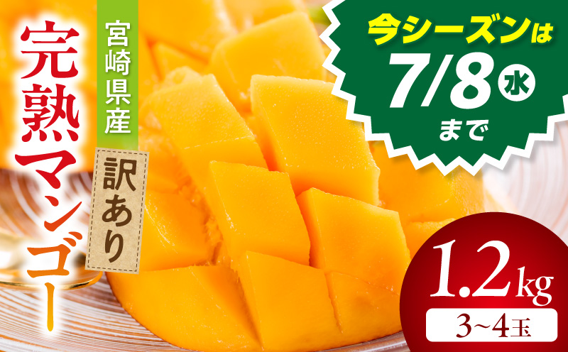 《2026年発送》【数量・期間限定】宮崎県産訳あり完熟マンゴー1.2kg(3～4玉) マンゴー 完熟 芳醇 冷蔵 フルーツ 果物 数量限定 期間限定 宮崎県産_M359-006