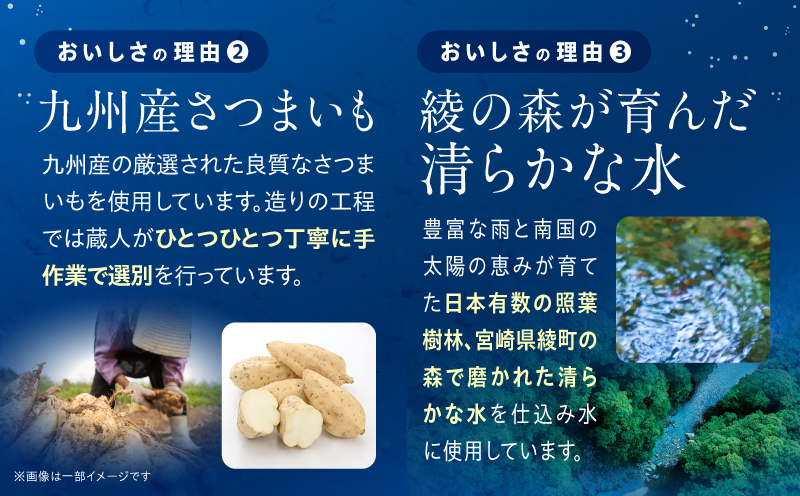 【最速便】木挽BLUEハイボール 2箱(48本) お酒 酒 アルコール 木挽きBLUE ハイボール 缶 ソーダ割り 食中酒 糖質ゼロ_M375-003-02-2W