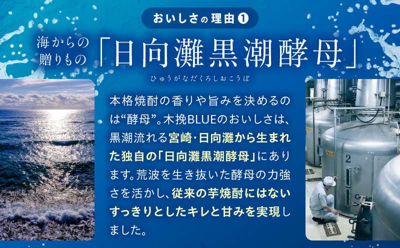 【最速便】木挽BLUEハイボール へべす 2箱(48本) お酒 酒 アルコール 木挽BLUE ハイボール 缶 ソーダ割り 食中酒 糖質ゼロ へべす_M375-004-02-2W