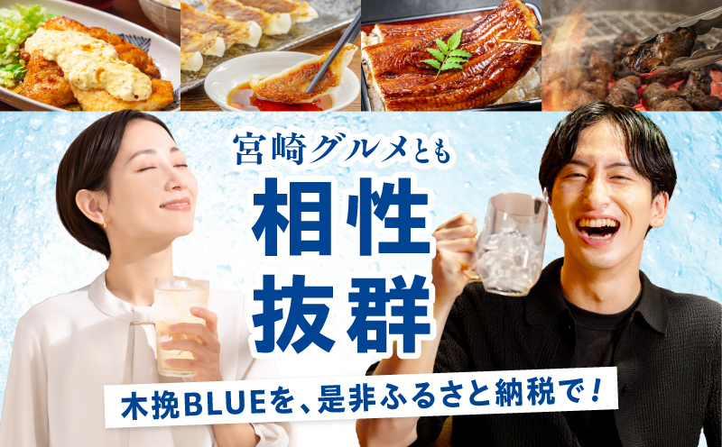【最速便】木挽BLUEハイボール へべす 2箱(48本) お酒 酒 アルコール 木挽BLUE ハイボール 缶 ソーダ割り 食中酒 糖質ゼロ へべす_M375-004-02-2W