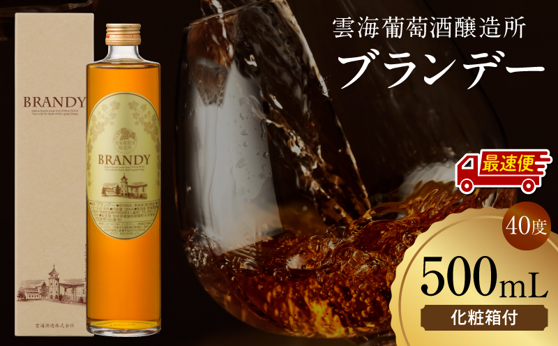 【最速便】雲海葡萄酒醸造所 ブランデー 500ml_M375-005-01-2W