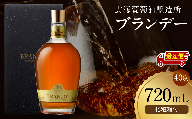 【最速便】雲海葡萄酒醸造所 ブランデー 720ml_M375-005-02-2W