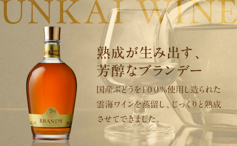 【最速便】雲海葡萄酒醸造所 ブランデー 720ml_M375-005-02-2W