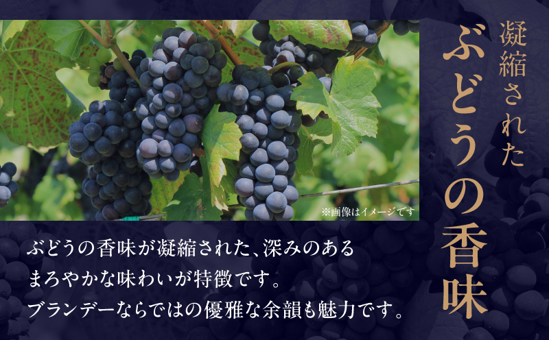 【最速便】雲海葡萄酒醸造所 ブランデー 500ml_M375-005-01-2W