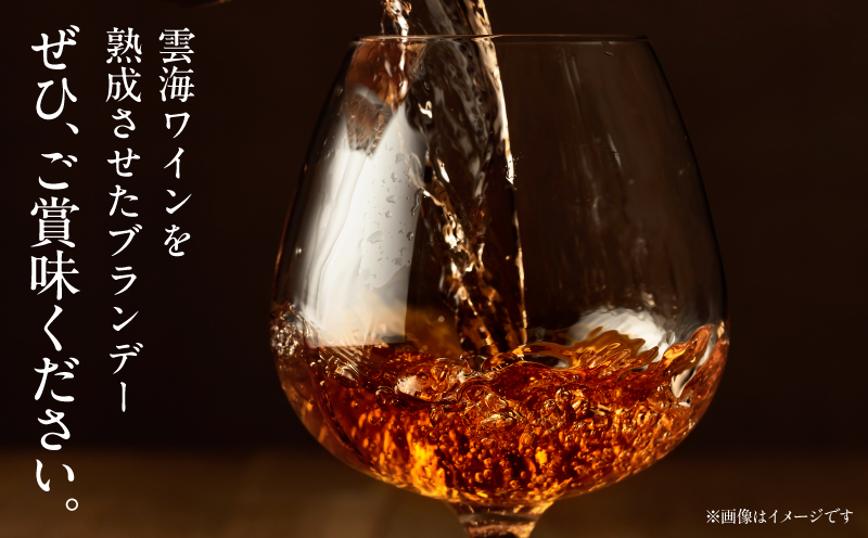 【最速便】雲海葡萄酒醸造所 ブランデー 500ml_M375-005-01-2W