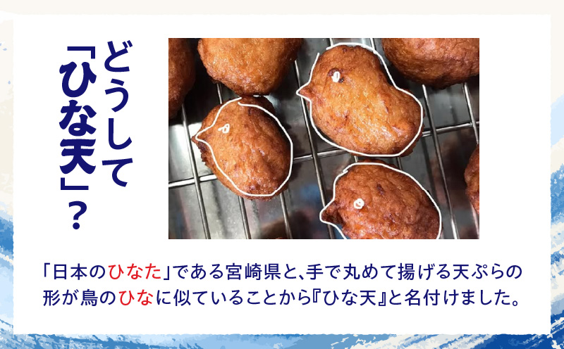 魚のすり身の天ぷら「ひな天」 さつま揚げ 未利用魚 天ぷら オオニベ_M377-001