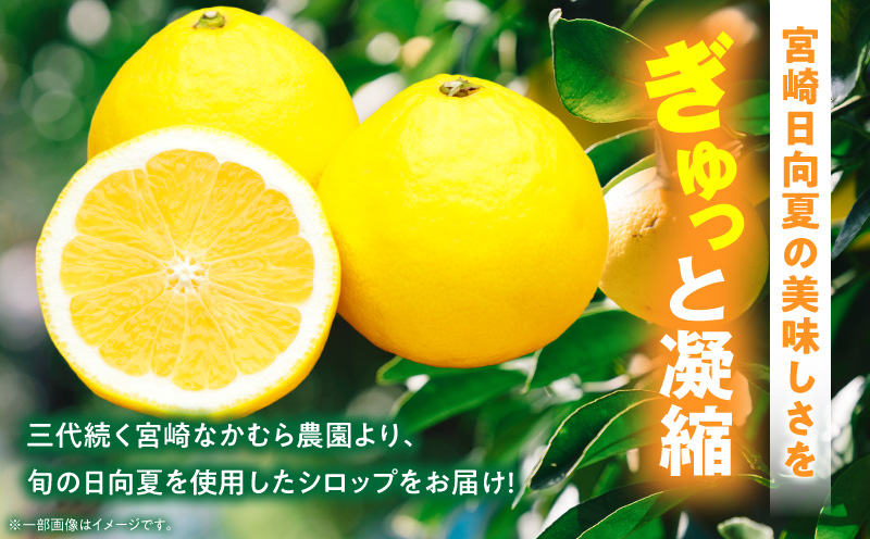 日向夏シロップ(150ml×2本セット) 日向夏 シロップ 柑橘_M403-002