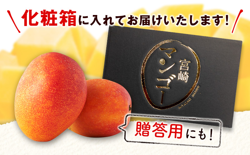 食品宮崎県産 完熟マンゴー  4k ばら チルド