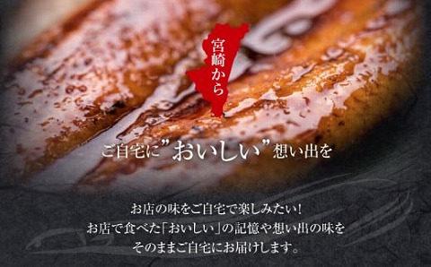 国産うなぎ使用　鰻蒲焼き・白焼きセット（156～180g×各1尾）肝焼付（30g×2）_M069-011_03