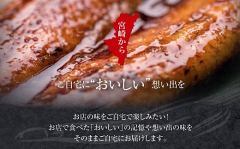 国産うなぎ蒲焼き特大サイズ(181～215g)・蒲焼きざみセット_M069-017_01