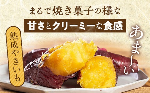 熟成やきいも＆熟成紫蜜いもの食べ比べセット1㎏_M086-008