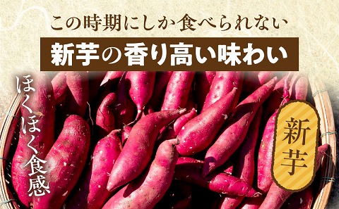 新芋＆熟成やきいもの食べ比べセット1㎏_M086-011