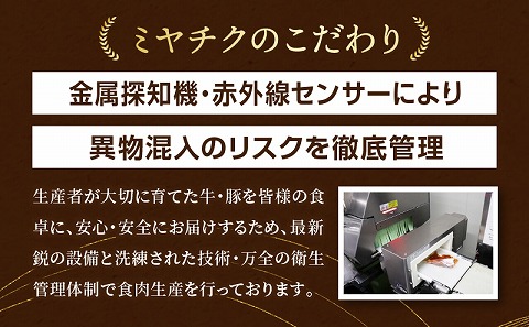 宮崎県産 豚ロース トンカツ 5枚 豚ロース しゃぶ 500g×1 豚ヒレ トンカツ 400g×1_M132-029