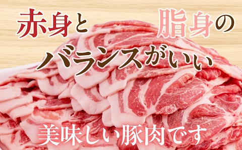 宮崎県産 豚肉 肩ロース スライス 2.4kg_M144-009_01