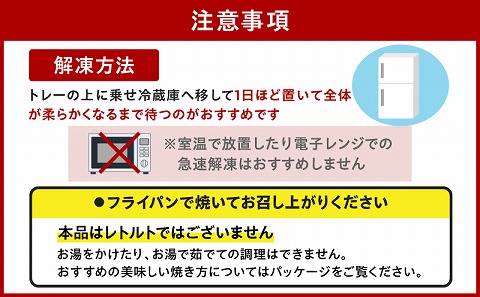 牛乃屋謹製プレミアムハンバーグ 10個_M288-002