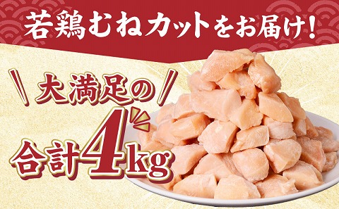 宮崎県産若鶏むねカット　バラ凍結品　4kg_M304-002