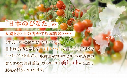 美トマトのワイン煮セット_M317-004