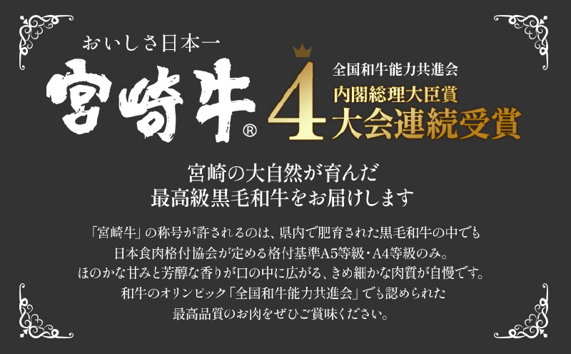 《数量限定》宮崎牛ヒレ 合計約200g (100g×2)_M199-001_01