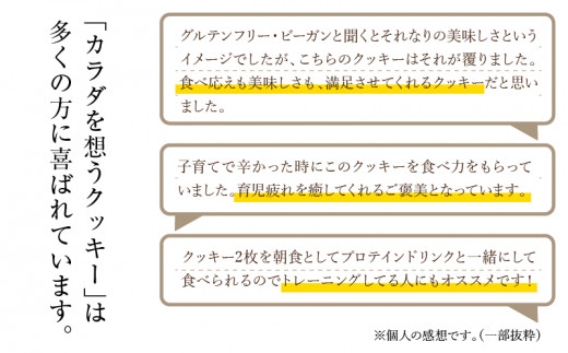 CHOCOCHIPS COOKIE ヴィーガングルテンフリー 3箱 合計36枚入り_M252-002