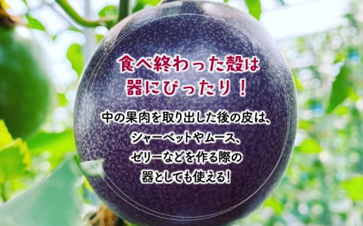 《2025年発送先行予約》【期間・数量限定】8年かけて誕生した宮崎県産極上パッションフルーツＬ　2kg_M057-005