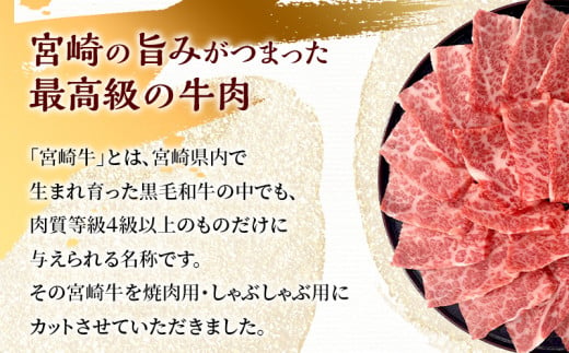 宮崎牛 カルビ焼肉・モモスライス セット 計800g_M243-001