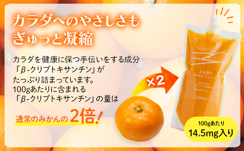 宮崎県産 まる絞りみかんジュース 1000ml×3本 計3L <糖度11度以上!>_M249-002