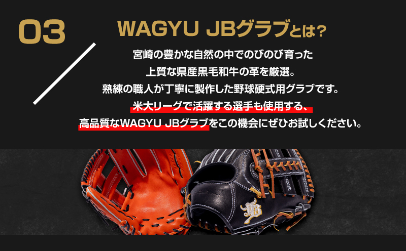 宮崎県産牛革使用 WAGYU JB硬式用オーダーグラブ_M147-001_01