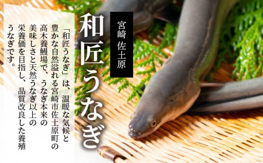 備長炭手焼き 宮崎市佐土原産 和匠うなぎの蒲焼カット10パックセット(計1kg) 山椒付き_M080-003_01