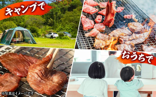 宮崎県産牛豚鶏&牛タン 焼肉セット 計1.4kg_M144-018