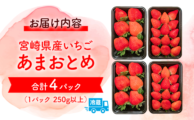 《2025年発送先行予約》【期間・数量限定】いちご「あまおとめ」 (250g×4トレイ・パック)_M267-001