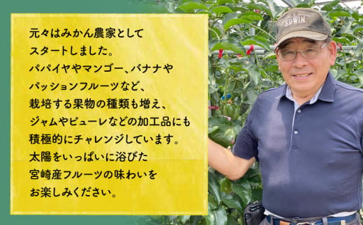 《2025年発送先行予約》【期間・数量限定】8年かけて誕生した宮崎県産極上パッションフルーツＬ　2kg_M057-005