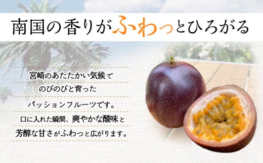 《2024年発送》期間・数量限定 ８年かけて誕生した宮崎県産極上パッションフルーツ　Ｍ　2kg_M057-004