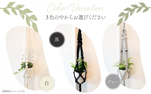 《白》季節の観葉植物と3色から選べるマクラメハンギングプランタ―のセット_M005-006_wh