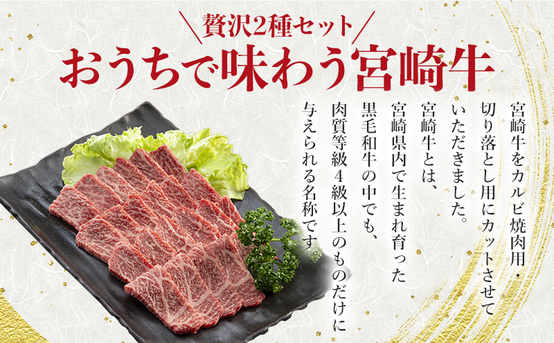 宮崎牛 カルビ焼肉・切り落とし セット 計800g_M243-002