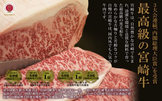 宮崎牛 特選 食べ比べ 6種盛り 合計600g_M109-014