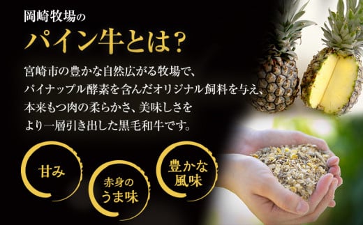 宮崎県産黒毛和牛パイン牛 赤身切り落とし(モモ・ウデ)1kg 国産 和牛 国産牛 赤身 切り落とし 切り落し 切落し 1kg 黒毛和牛 赤身肉 モモ ウデ 牛モモ 牛もも肉 牛ウデ 小分け パック 冷凍 肉 お肉 牛肉 牛 すき焼き しゃぶしゃぶ グルメ お取り寄せ_M226-007